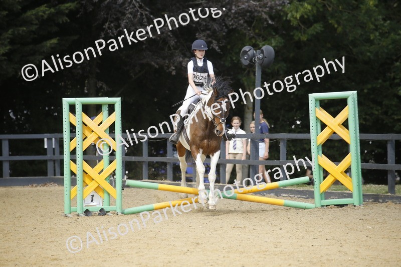 20250622-3877 - 50cm