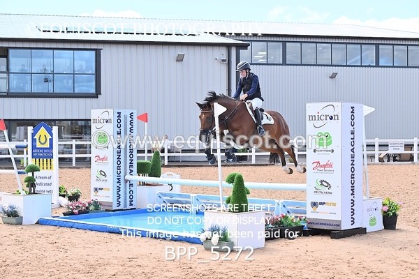 BPP_5272 - CLASS 8 THURS HOYS GFS Saddles Senior Newcomers Second Round