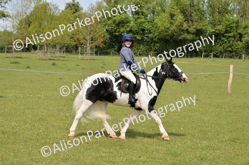 20260426-2354 - Class 20 - Beginner Working Hunter