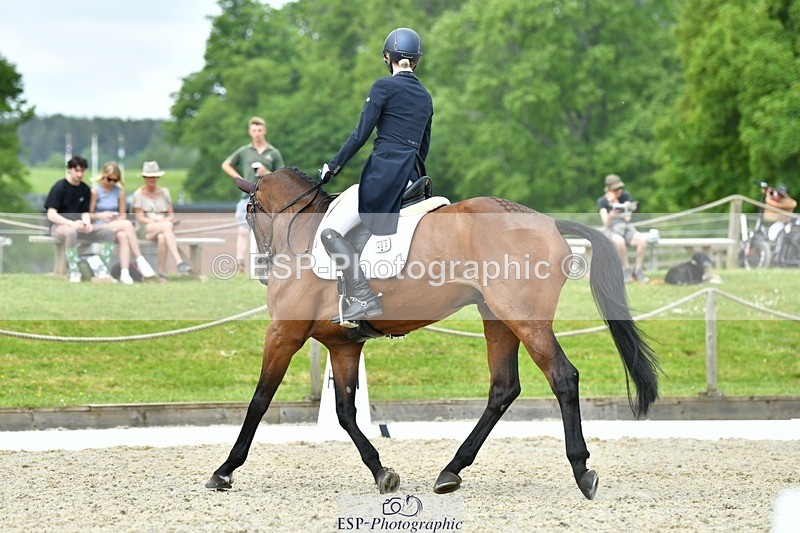 230525-115922-04139 - 205-ARTICUS-Maja_Hullah-WEDTrotUp+DR