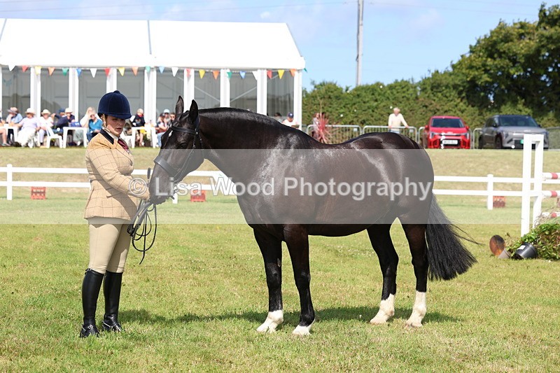 3E7A9986 - Class 5: Rising Star Lightweight/Heavyweight Cobs