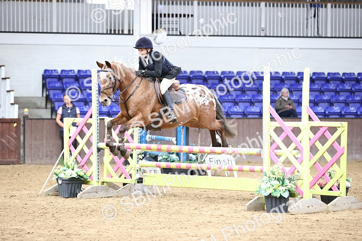 SBM_002392 - Class 11 - Pony Discovery - 90cm Open