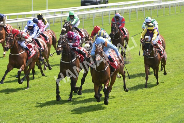 yr13052021r1-32 - Race 1 1.40pm The Matchbook Betting Exchange Stakes