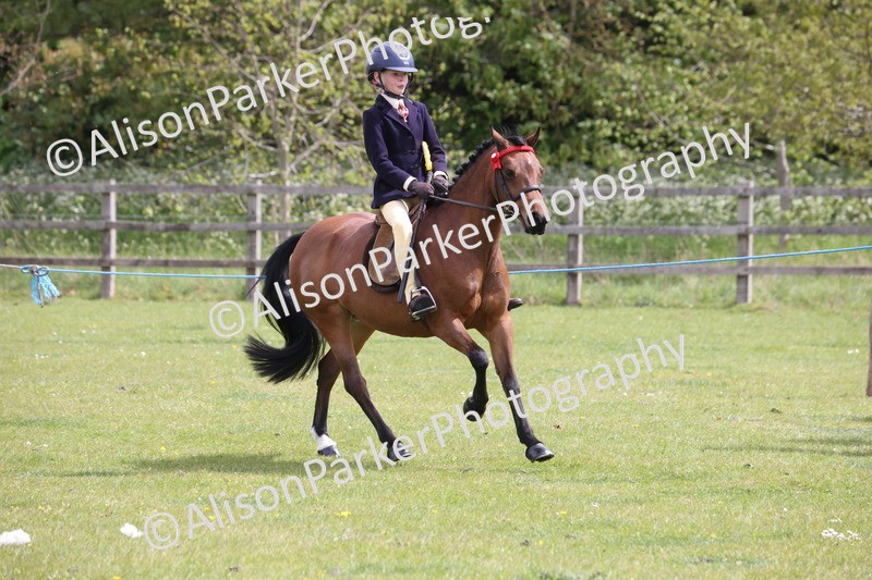 20260426-4054 - Class 33 - Best Pony 14.2hh and Under