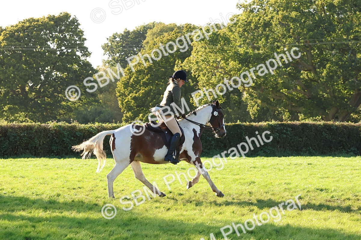 SBM_53008 - S29 - Mature Veteran Ridden