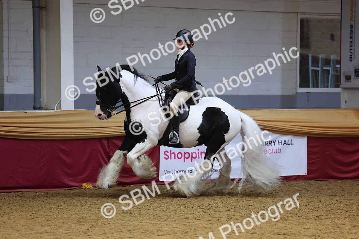 SBM_24401 - Class 906 - Supreme Final - Ridden Pre Vet