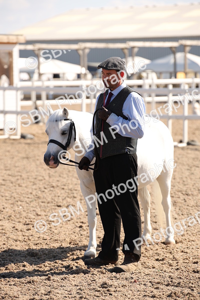 SBM_02728 - Class 16 IH M&M Wildcard