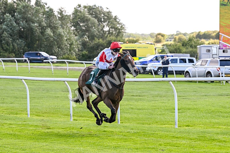 080926-Race 2-Queen Sana-1894 - Race 2 2.28pm Racing TV Club Day Restricted Maiden Stakes