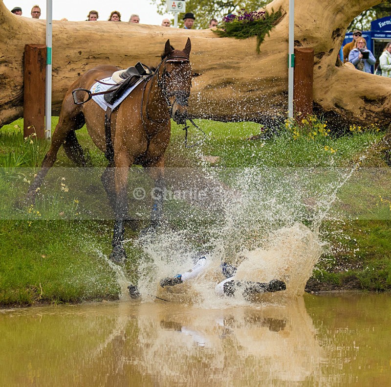  - Mitsubishi Motors Badminton Horse Trials.