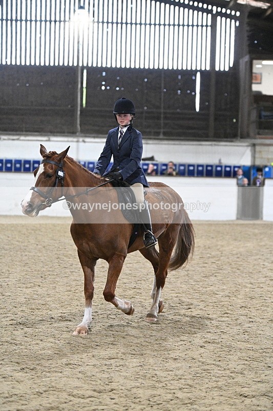 WJ7_4136 - Class 17 Ridden Cob