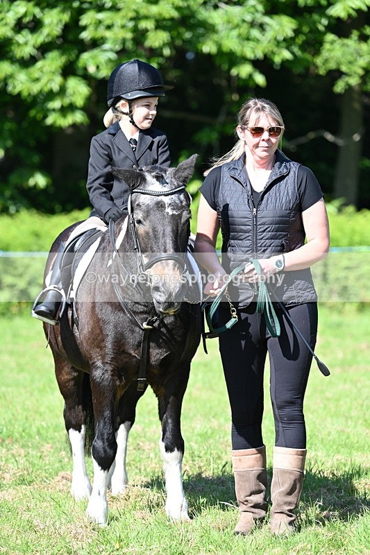WJ7_0483 - Class 8 First Rally Pony