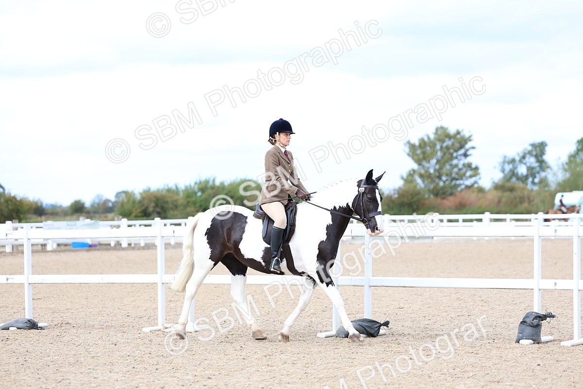 SBM_15771 - Class 314 - Family Horse - Pony