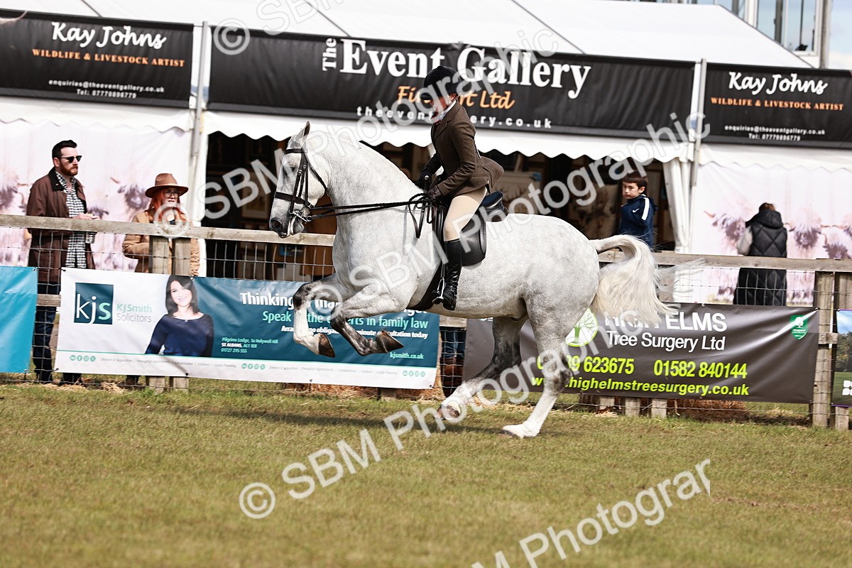 SBM_14052 - Class 85-87 - RIHS Cobs