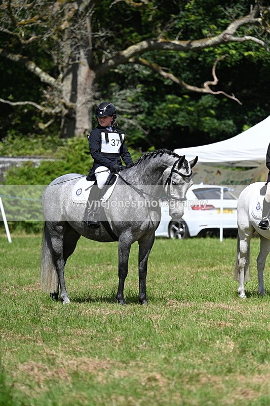 WJ7_1765 - Class 9 Pony Club Pony