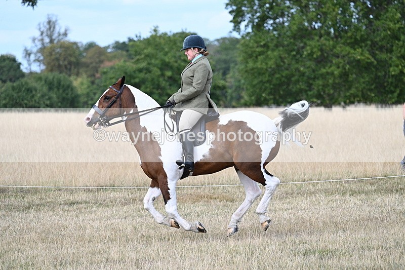 WJ7_7286 - Class 14 Ridden Coloured