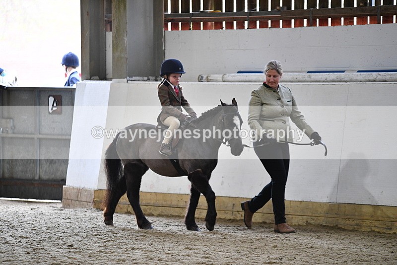 WJ5_6592 - Class 10 Childs Pony