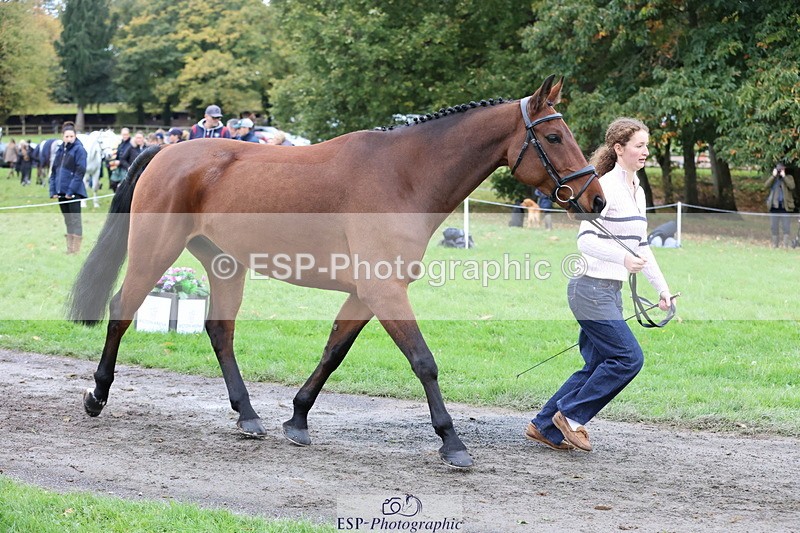 251026A-112303-25403 - G-516-Zara.Bucknell