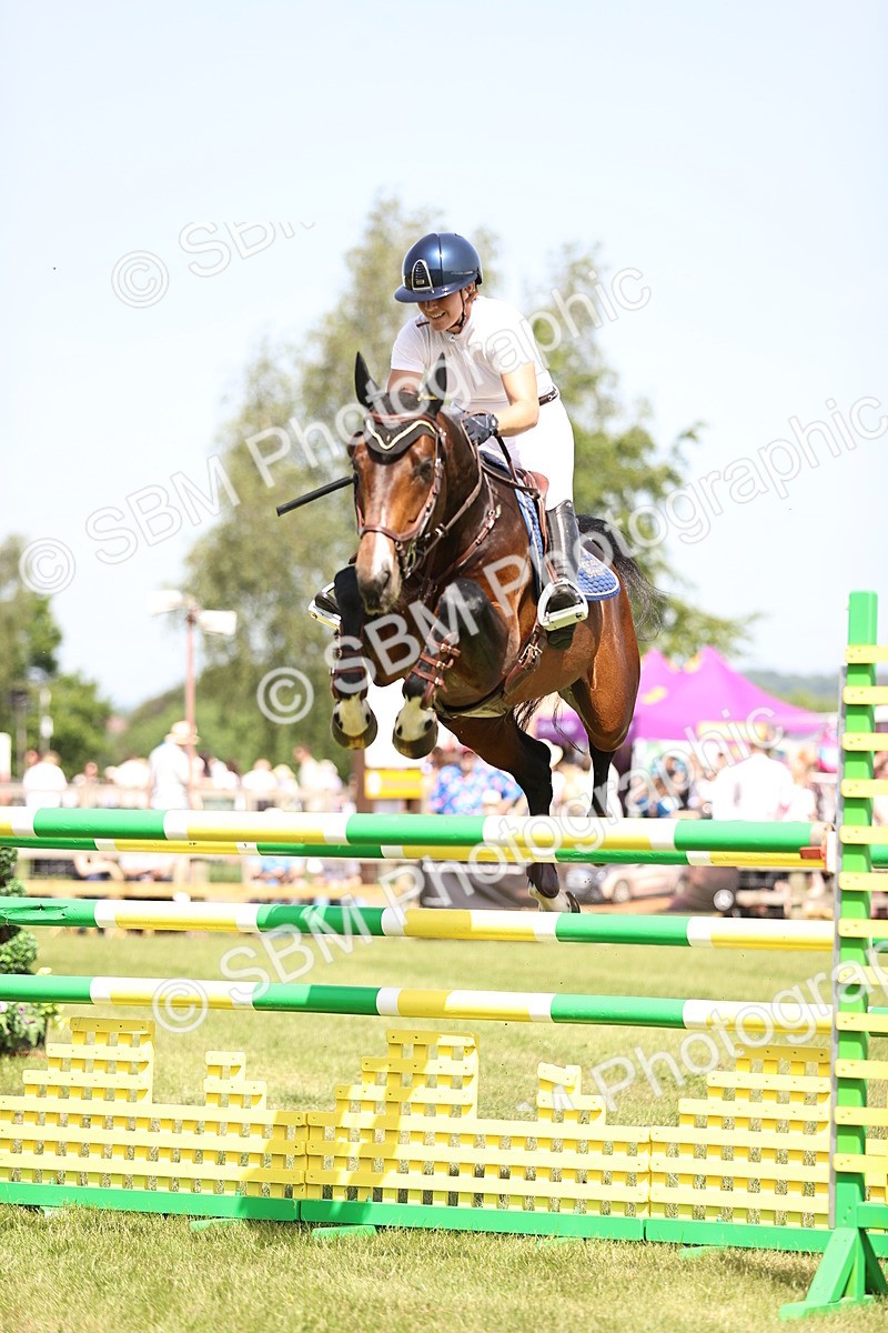 SBM_03946 - Class 201 - British Horse Feedds Speedi Beet HOYS Grade C