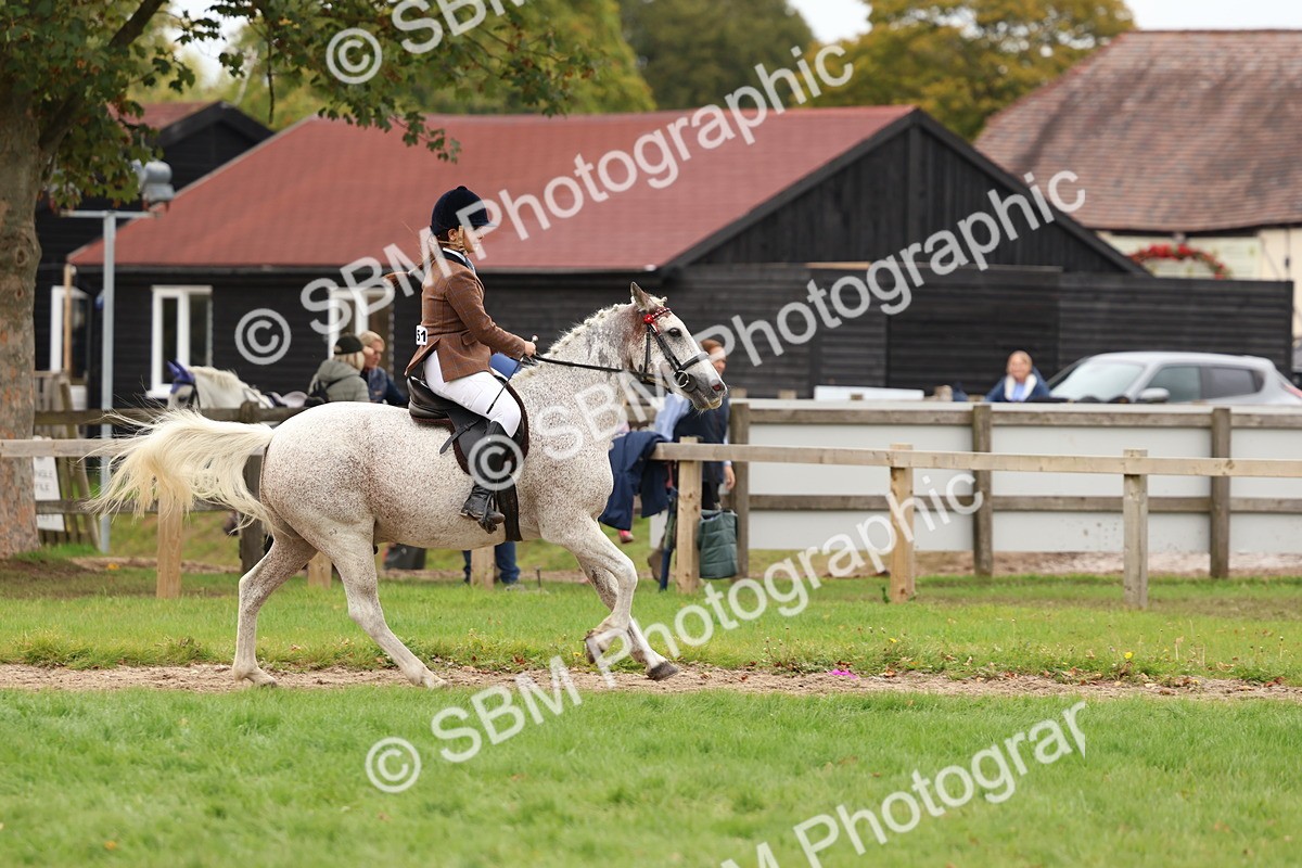 SBM_64539 - S58 - Coloured Pony Ridden
