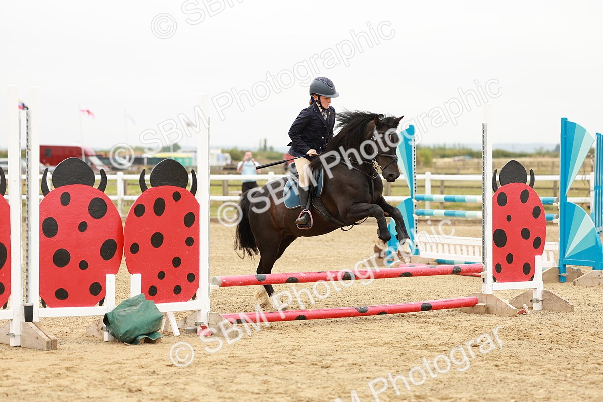 SBM_007398 - Class 2 - 50cm