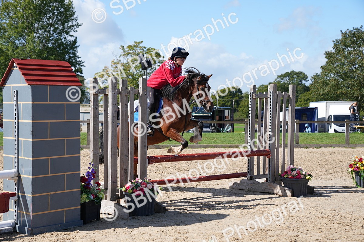 SBM_05038 - J56 - Clear Round 70cm