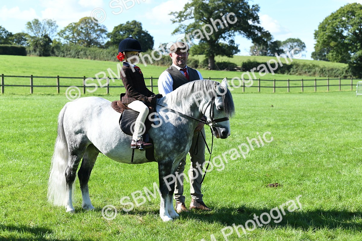 SBM_39582 - S18 - Novice & Newcomers Lead Rein Pony