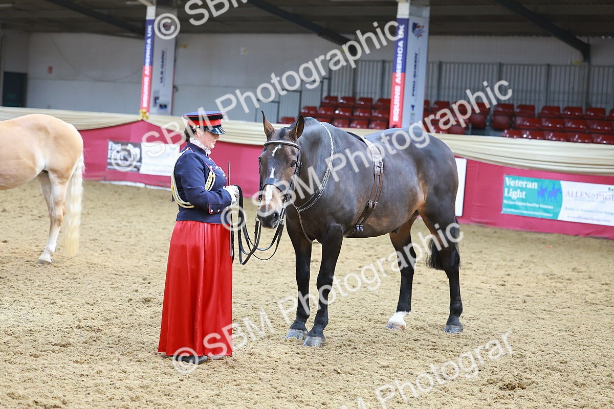 SBM_13648 - Class 104 - IH  Costume