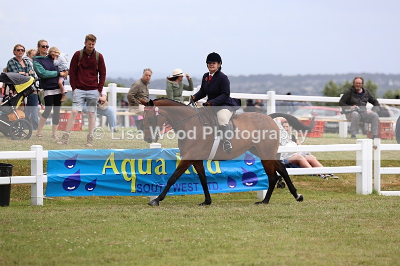 3E7A1005 - Class 8: Open Riding Horse/Hack