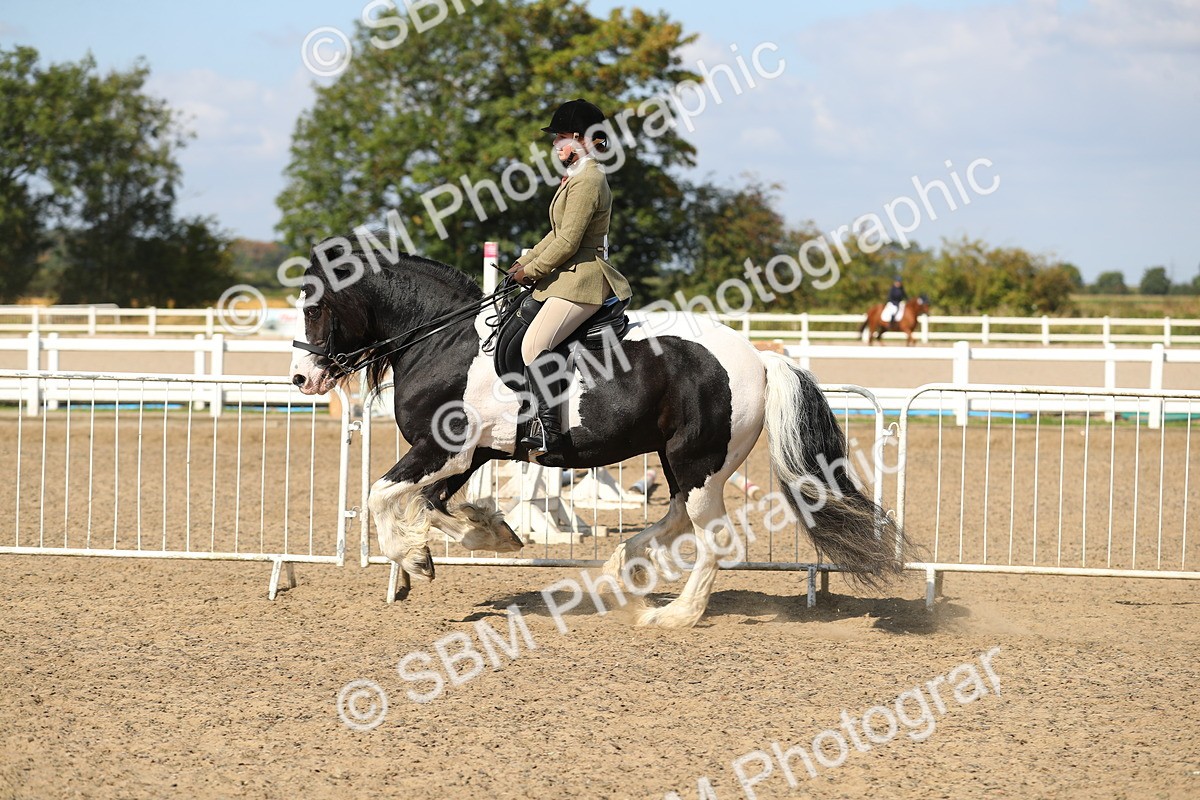 SBM_03159 - Class 44 Riding Club Horse/ Pony
