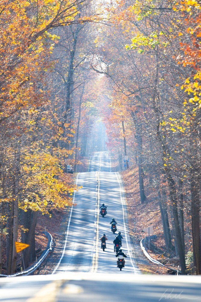 DSC_8459 - Autumn