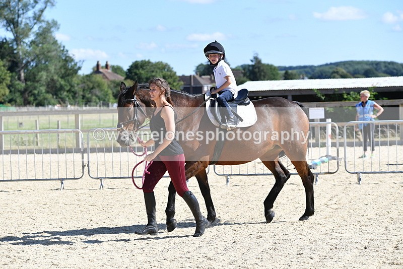 WJ5_5196 - Poles on the Floor