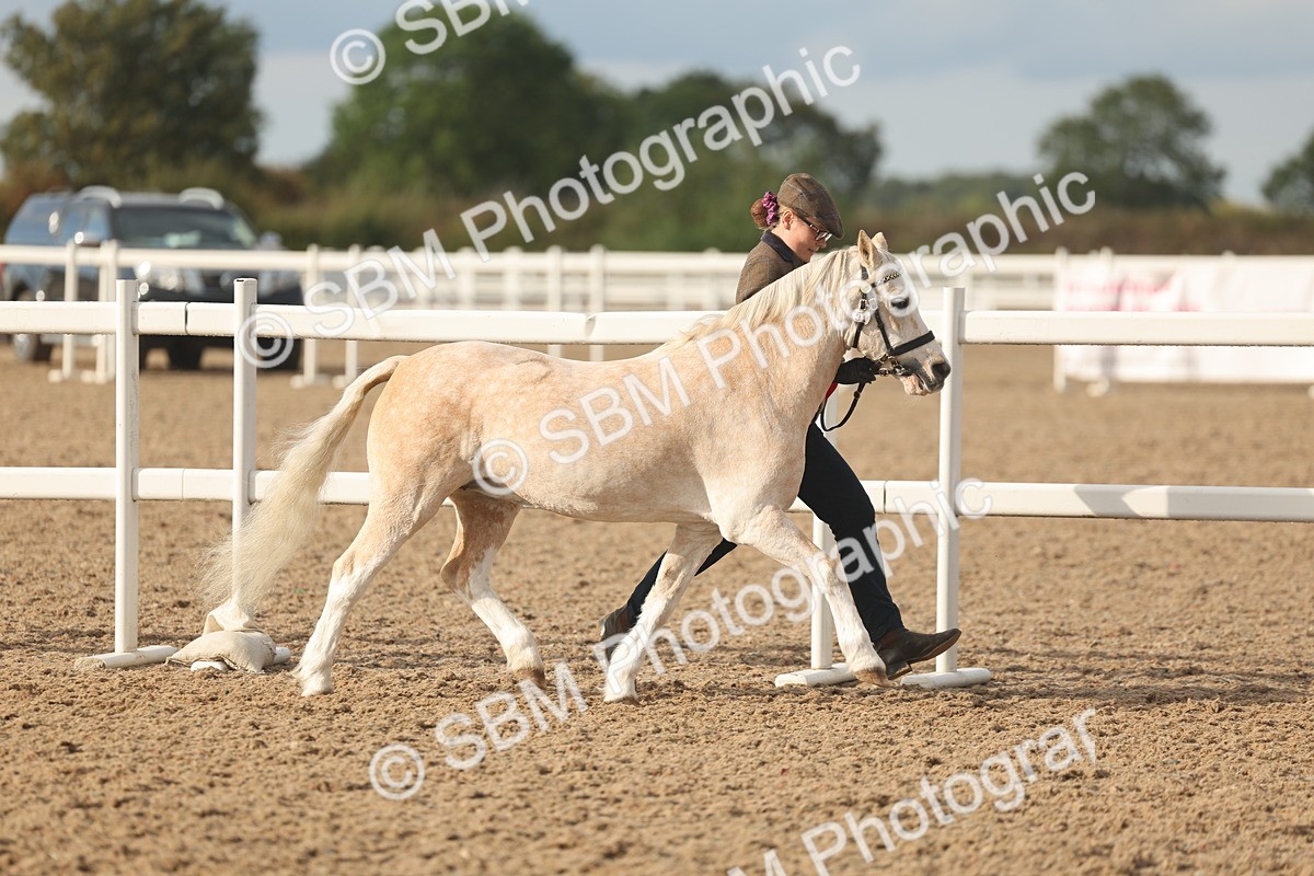 SBM_08604 - Class 29 - IH Veteran Pony