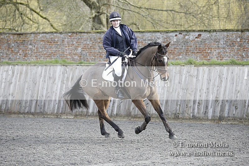 BVRC 050320 0088 - Bourne Valley riding Club Show Jumping Tidworth 08/03/20