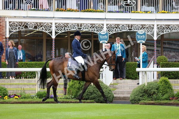 yr22052022r8e-63 - ROR - Parade Ring York