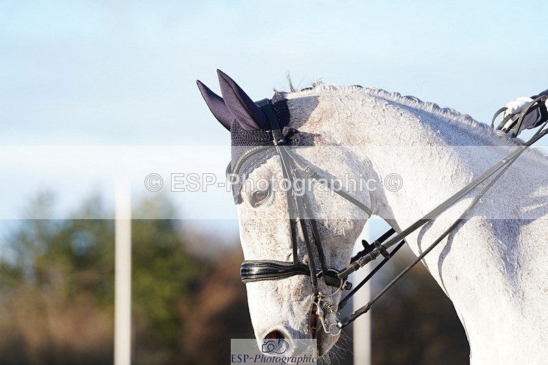 241214-152700-02167 - 162-Layla.Ambersley-Broadbent-Galwaybay.Buddy