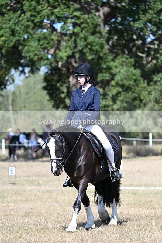 WJ7_0240 - Time 11:03 to 11:28