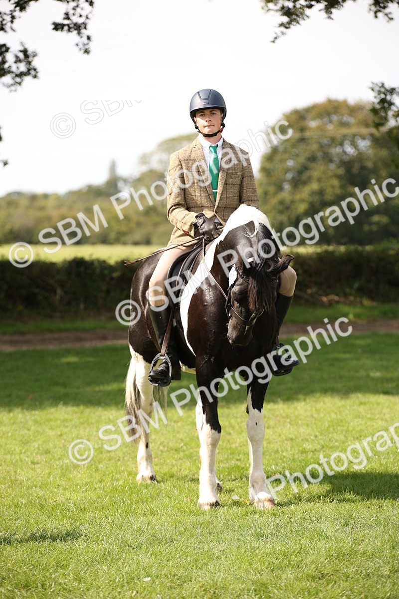 SBM_70100 - S65 - Piebald & Skewbald Horse Ridden