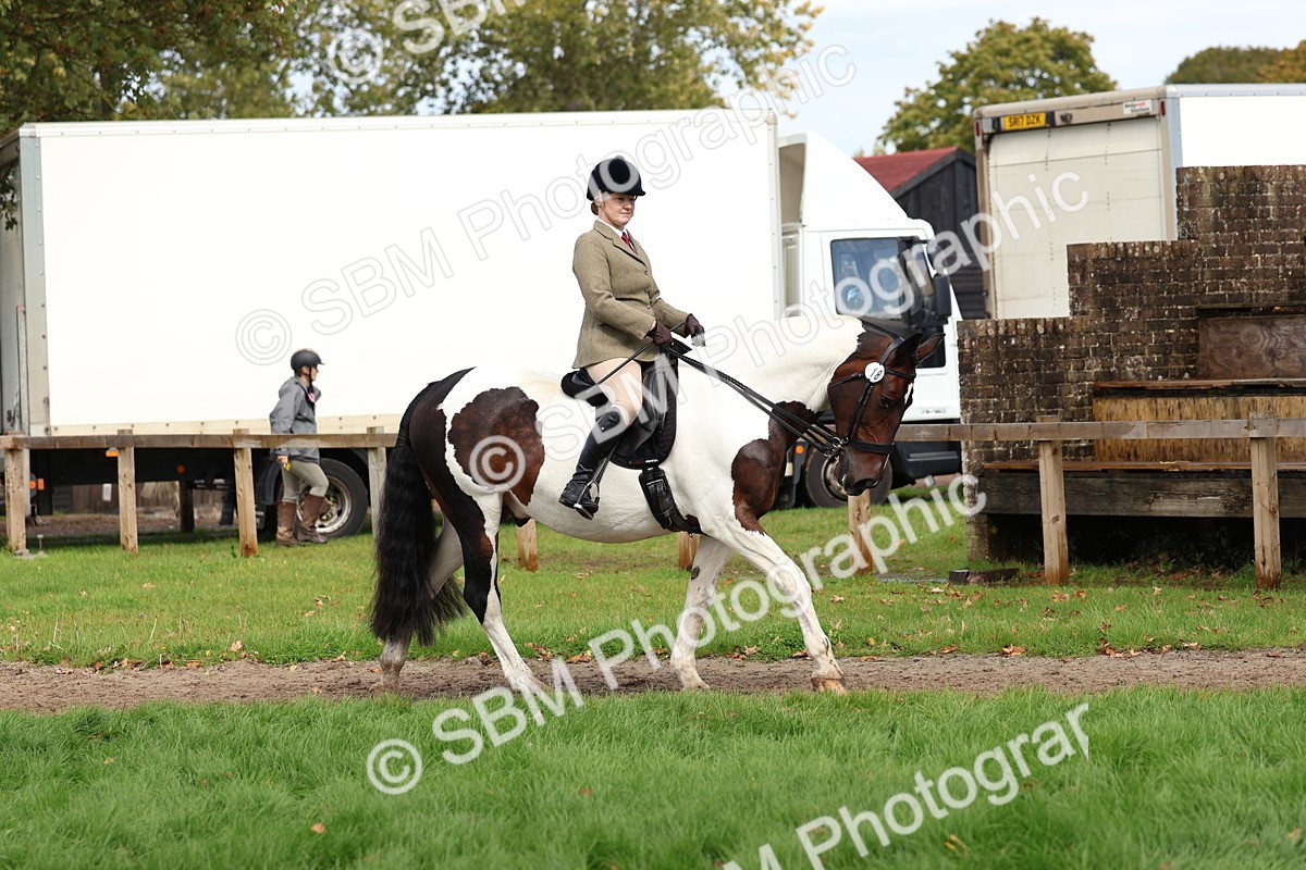 SBM_45163 - S27 - Young Veteran Ridden