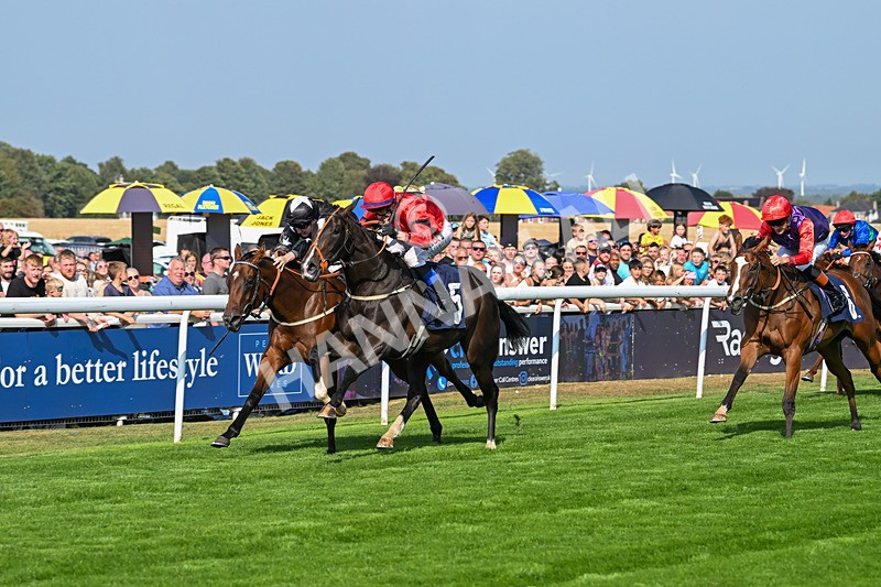 240825-Race 4-Lady Hornblower-2987 - Race 4