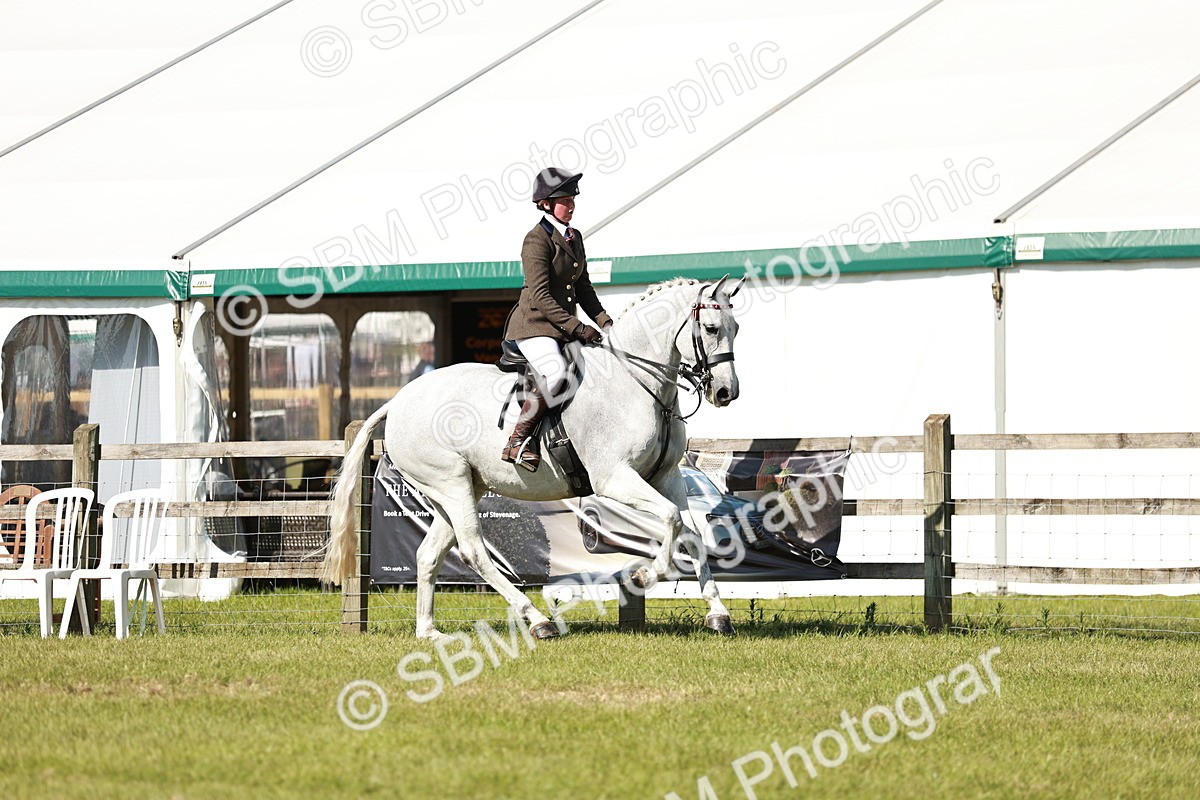 SBM_18876 - Class 114 - RIHS & SEIB Open Working Show Horse