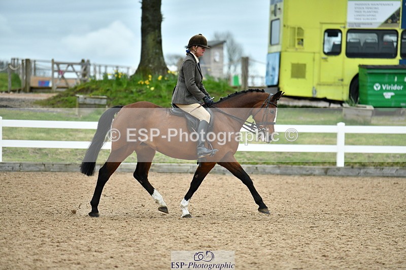230416A-143358-05268 - Cls 74 Warmblood