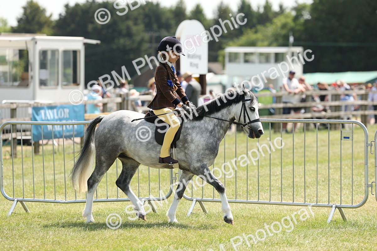 SBM_05323 - Class 24-25 - Mountain & Moorland In Hand Lead Rein and First Ridden