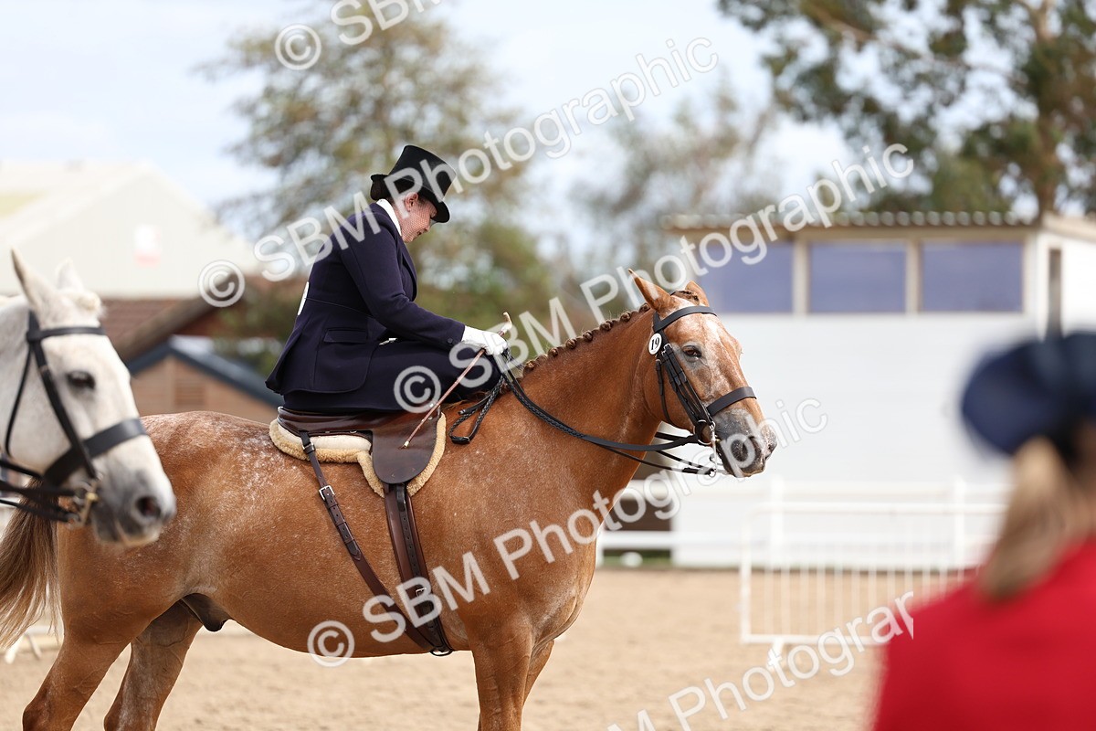 SBM_03470 - Class 24 - SSA Concours d'elegance (any age)