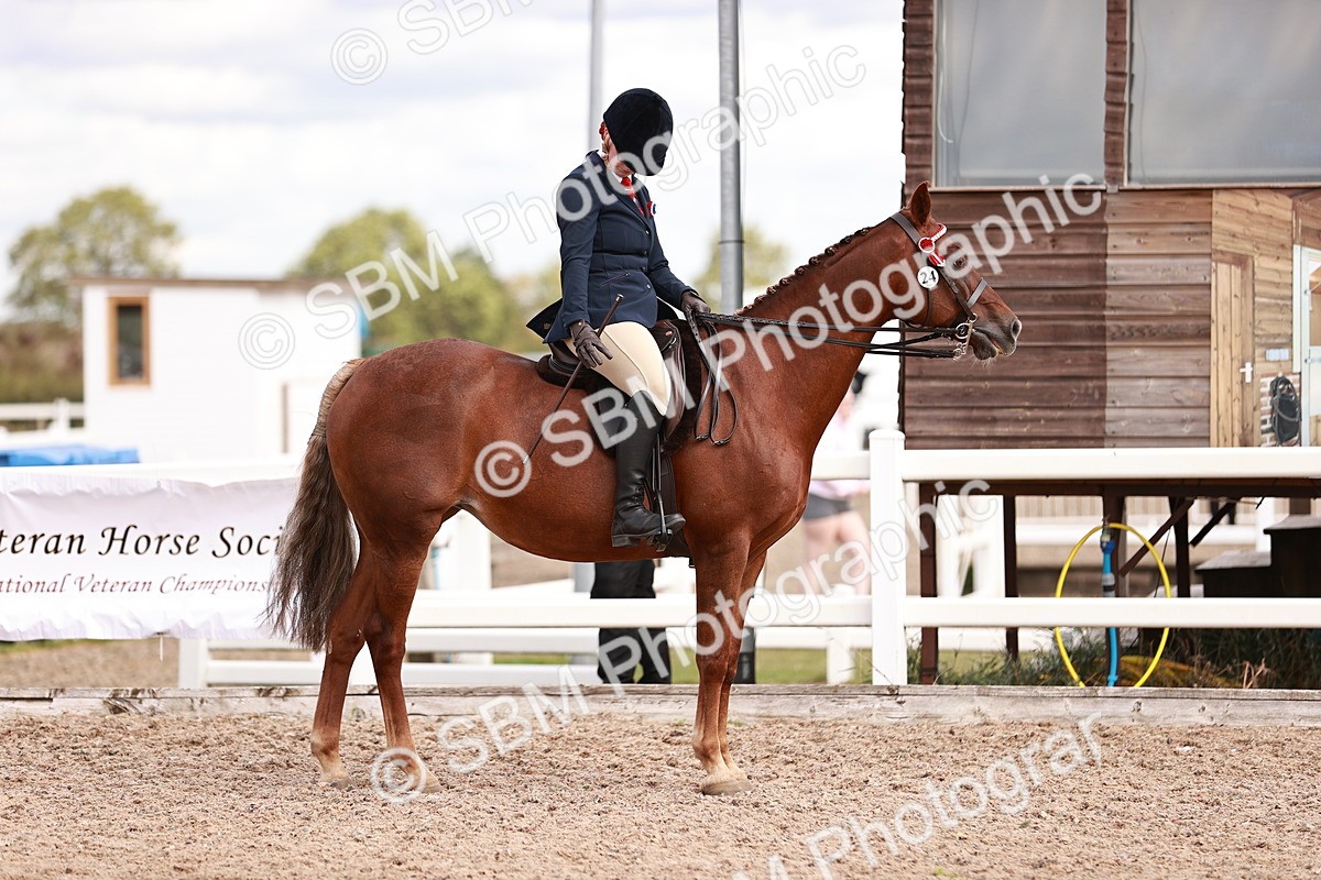 SBM_14288 - Class 408 - Grassroots Ridden -Walk & Trot