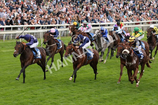 yr18082021r7-15 - Race 7 5.20pm Sky Bet Nursery Handicap