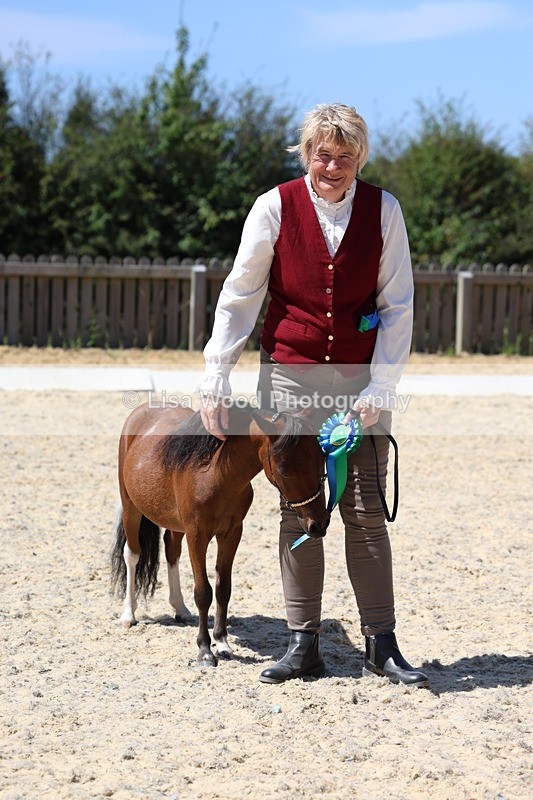 3E7A9525 - Class 30: Mnititature Horse