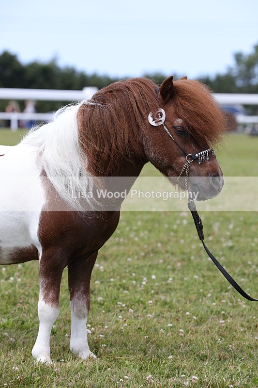 1X9A4803 - Class 35: Veteran In Hand