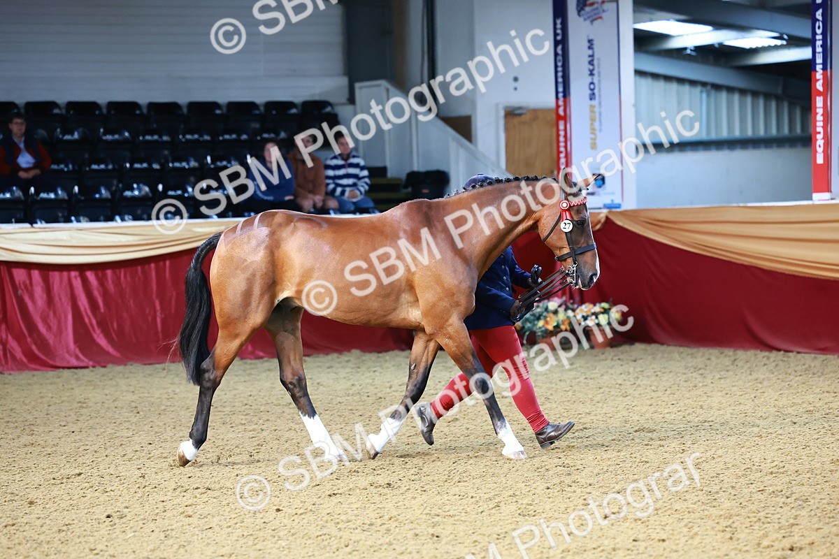 SBM_21750 - Class 901 - Supreme Final - IH  Diamond