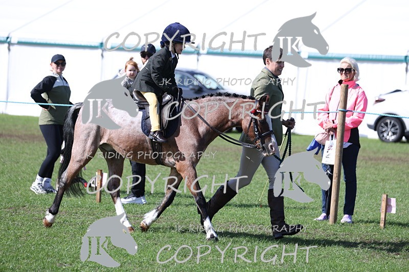 APP_3836 - Class 13 Lead rein