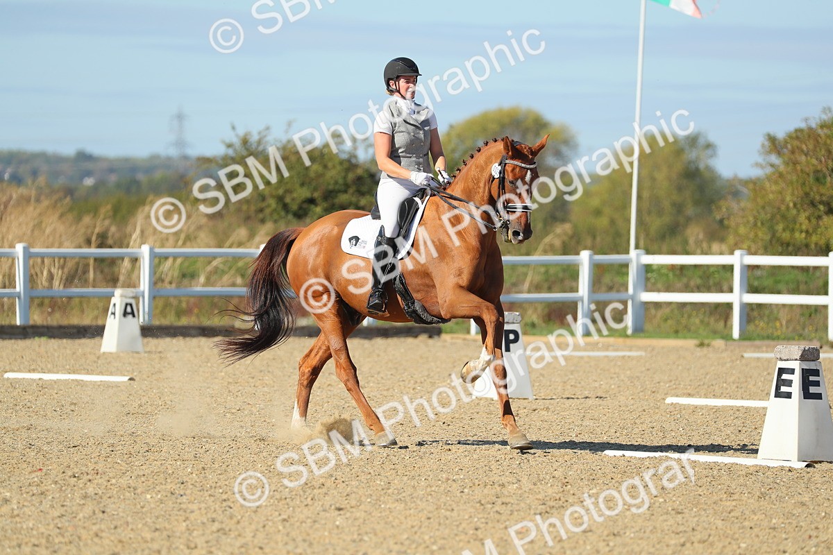 SBM_002211 - Class 11 - M5